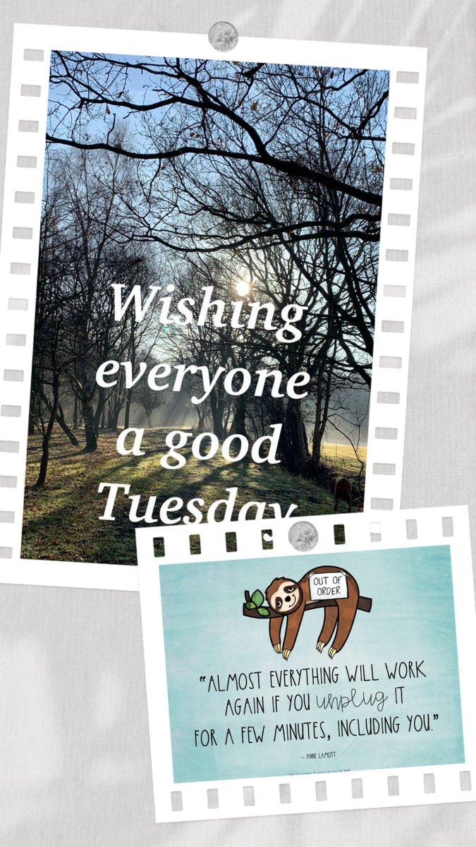 BranleyMcvie's tweet photo. #wishingeveryone
#agoodtuesday
#almosteverthing
#willworkagain
#unplug
#includingyou https://t.co/SEkvRDSdnQ