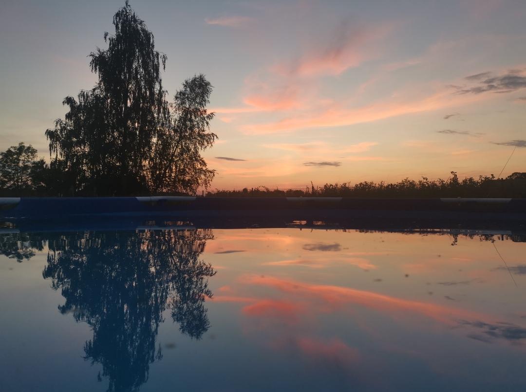 RT @oculusmindcoach: Reflections...Summer evening at home. 
#canon #canonphotography #sunsetphotography #water #Reflections #canonexploreroflight