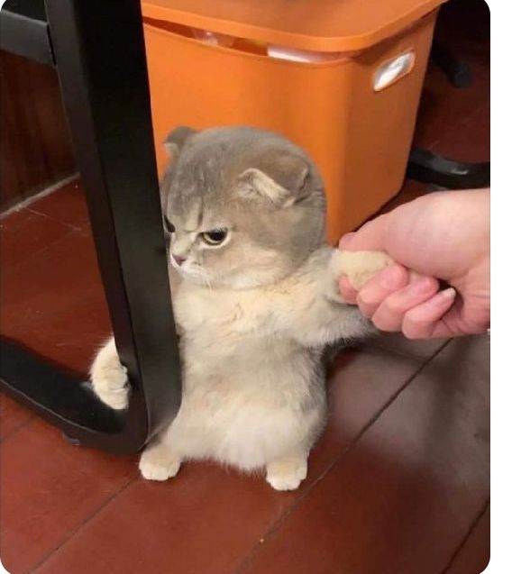 𝑯𝑬𝑹:𝑾𝒉𝒂𝒕'𝒔 𝒘𝒓𝒐𝒏𝒈 𝒃𝒂𝒃𝒚
𝑴𝑬: 𝒀𝒐𝒖 𝒔𝒂𝒊𝒅 𝒂𝒎 𝑺𝒉𝒐𝒓𝒕
