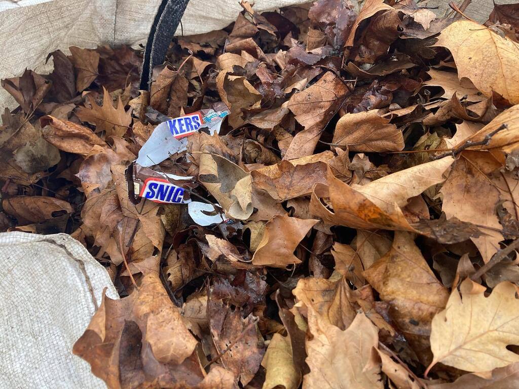 Garden Thyme Ltd tweet media