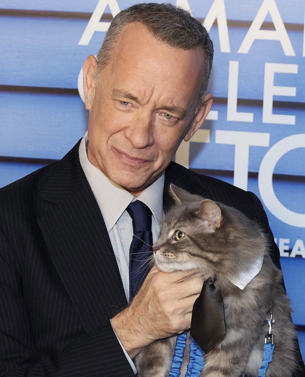 catcontxt's tweet photo. https://t.co/b2rLQQyyZq