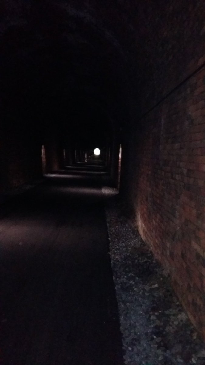 bulfincycle's tweet photo. Light at the end of the tunnel! 

Anyone care to identify this tunnel? 
#daylight  #exploringIreland https://t.co/MNyYmluFrk