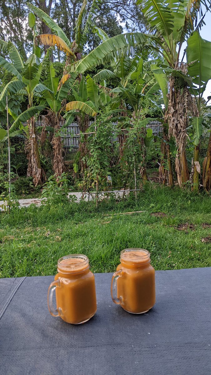 Food_Bounty's tweet photo. 🍹We're curious to know - what's your favorite juice combo? 
We made a delicious celery and carrot juice.
🍰Plus, the trester (pulp) from the juice can be used in so many ways - from adding it to your baking, feeding it to your animals, or even using it as compost in your garden. https://t.co/uyJMlnUBM3