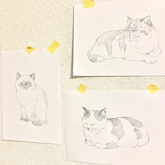 猫増殖中。

#猫  #線画 #鉛筆画 