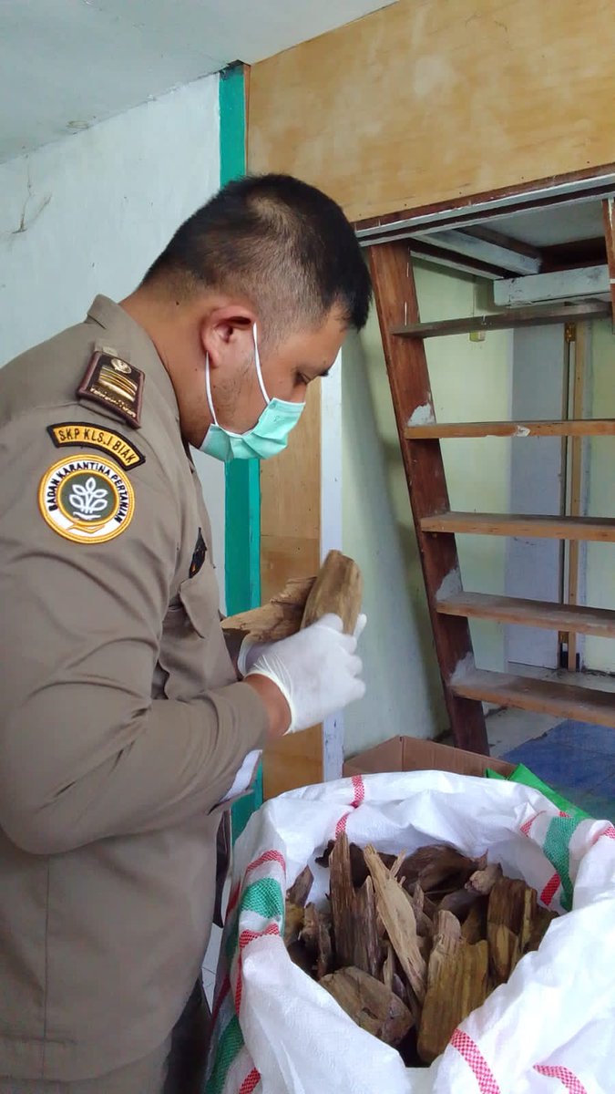 BarantinRI's tweet photo. Ribuan Kilogram Gaharu Siap Berlayar ke Jakarta

Minggu (08/01), @karantinabiak melalui Wilayah Kerja Serui memeriksa gaharu yang akan dikirimkan ke Jakarta dengan kapal KM Dobonsolo sebanyak 10.000 kg.

#laporkarantina https://t.co/lZdbOjrqJn