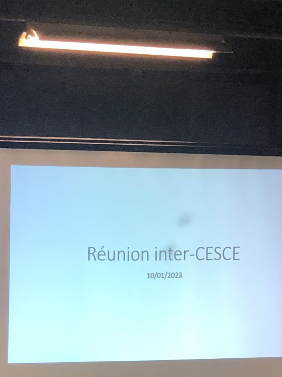 DSDEN79's tweet image. #CESCE Réunion Inter-CESCE aujourd’hui @DSDEN79 au Lycée Les Grippeaux 
➡️Méthodologie de projets
➡️Ateliers (communication, émotions, esprit d’équipe)
➡️Travail par établissement sur les projets 
🙏 aux intervenants, élèves et encadrants
#bienetre #cohesion #sante #citoyennete
