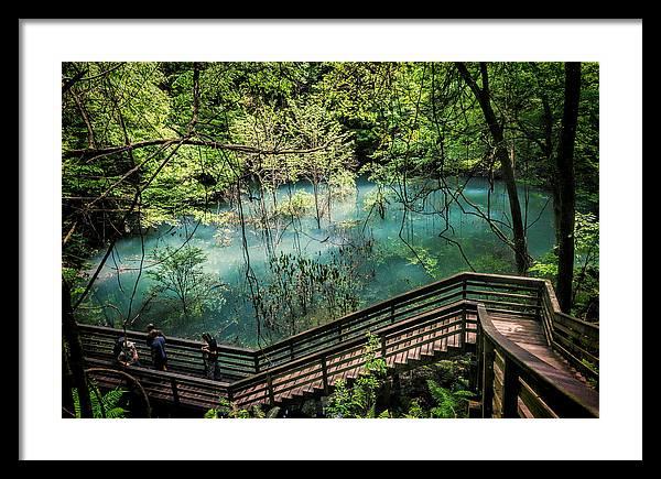 joancarroll's tweet photo. many thanks to the buyer from Pensacola, FL for purchasing a copy of this print! https://t.co/CxuOgaC7hT via @fineartamerica #devilsmillhopper #gainesville #AYearForArt #BuyIntoArt #ArtMatters #BuyArtNotCandy #giftideas @joancarroll https://t.co/ttMxJg2tdN