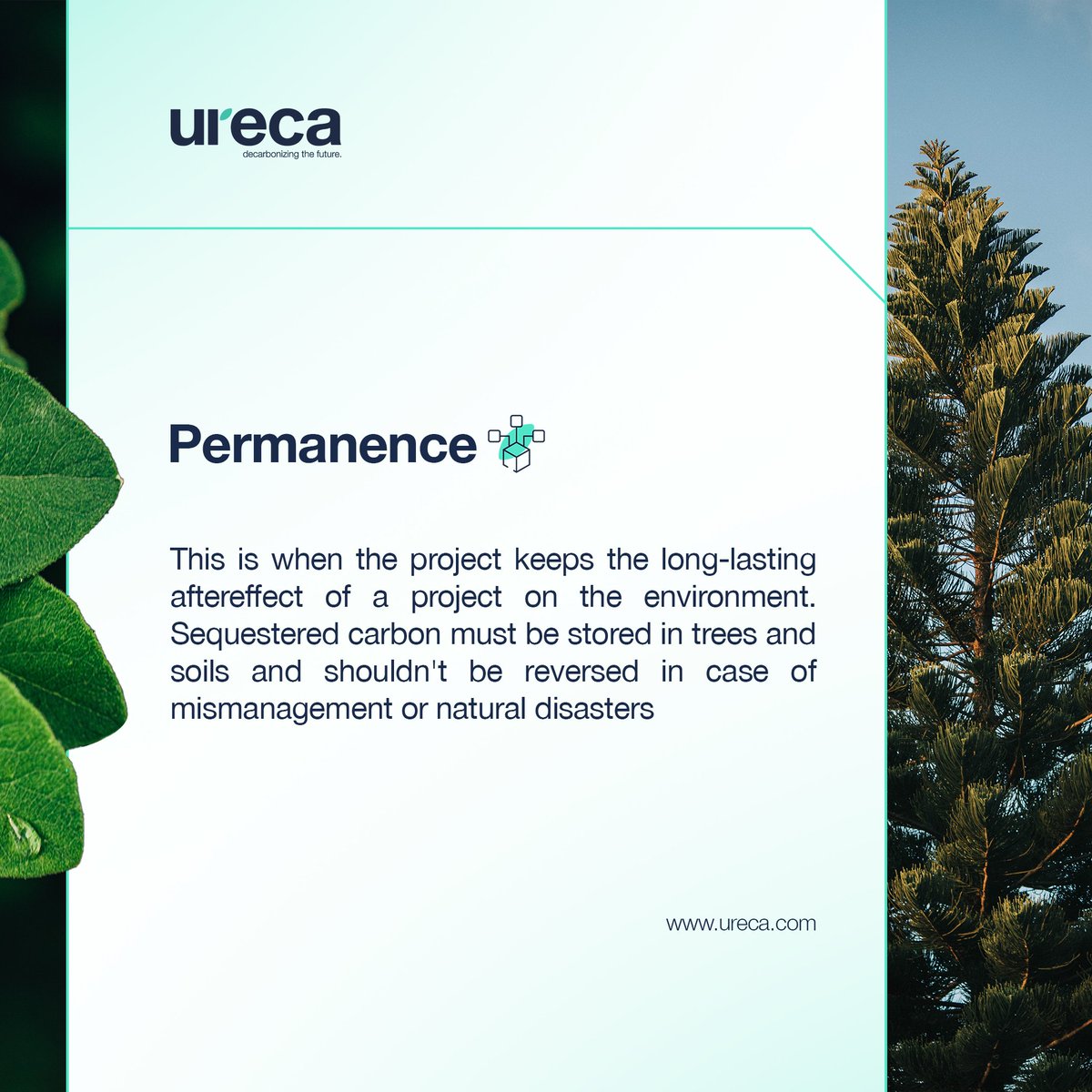 urecaofficial tweet picture