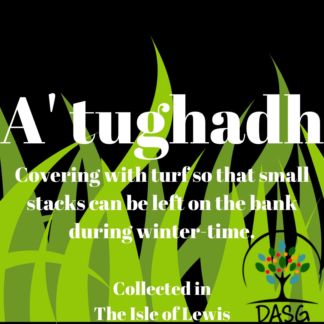 DASG_Glaschu's tweet photo. https://t.co/WXAFGfZaue
🌧️
A' TUGHADH - COVERING PEAT STACKS WITH TURF
🌱
#Tughadh #Tugh #Thatch #Thatching #Mòine #Peat #PeatStack #Geamhradh #Aimsir #Winter #Sìde
💩
#Leòdhas #IsleofLewis
#Alba #Scotland
#Gàidhlig #Gaelic #ScottishGaelic
#DigitalArchiveofScottishGaelic #DASG https://t.co/GkEuBgL8wk