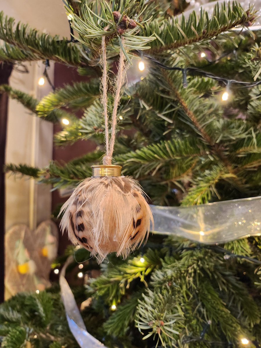 Good morning #breaktimehour

Just having a little flash back to some pheasant baubles I made in the run up to Christmas. This one went on our tree, it was a one off! The rest sold out 😀

I'll be making more this year 🤩

#CraftBizParty #UKMakers #SmartSocial #MHHSBD #VIPFamily