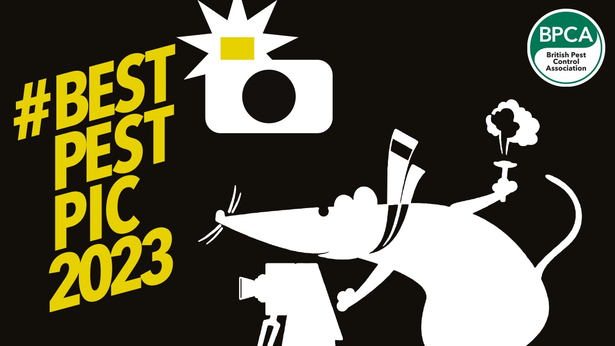 📸🏆 COMPETITION TIME! 🤩

We've had some great entries for #BestPestPic2023 so far - thanks to everyone who has submitted! 

There's still plenty of time to get your entry in for the chance to win £500 🤯

INFO: ow.ly/UuXp50MmoKr

#PestControl #Photography #BestPestPic