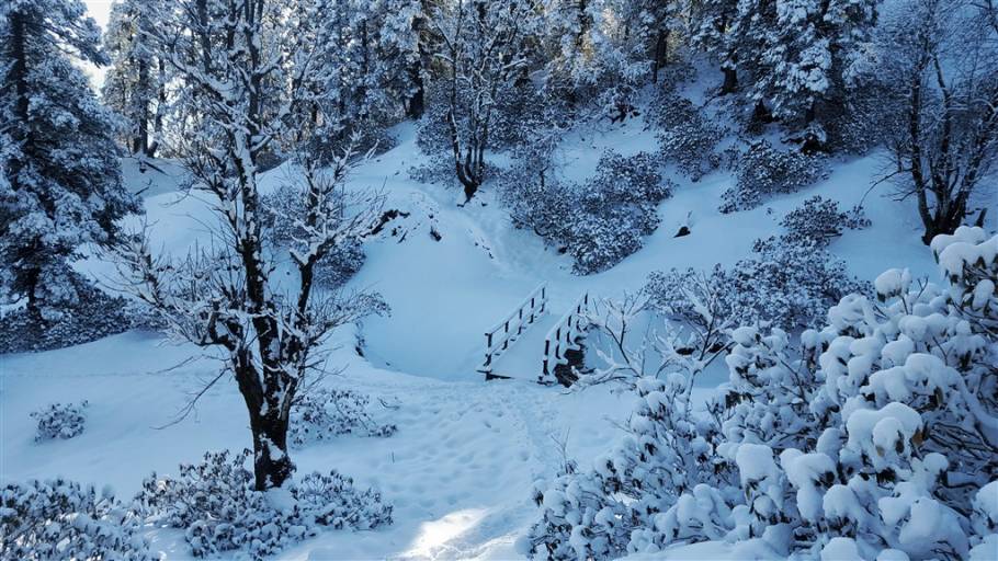 tripgully's tweet photo. 7. Kedarkantha Winter Trek

This trek in Uttarakhand is another great option for beginner winter trekkers. This trek takes you to the summit of Kedarkantha (12,500 ft) which offers panoramic views of the Himalayas. https://t.co/VwuhbjhvYw