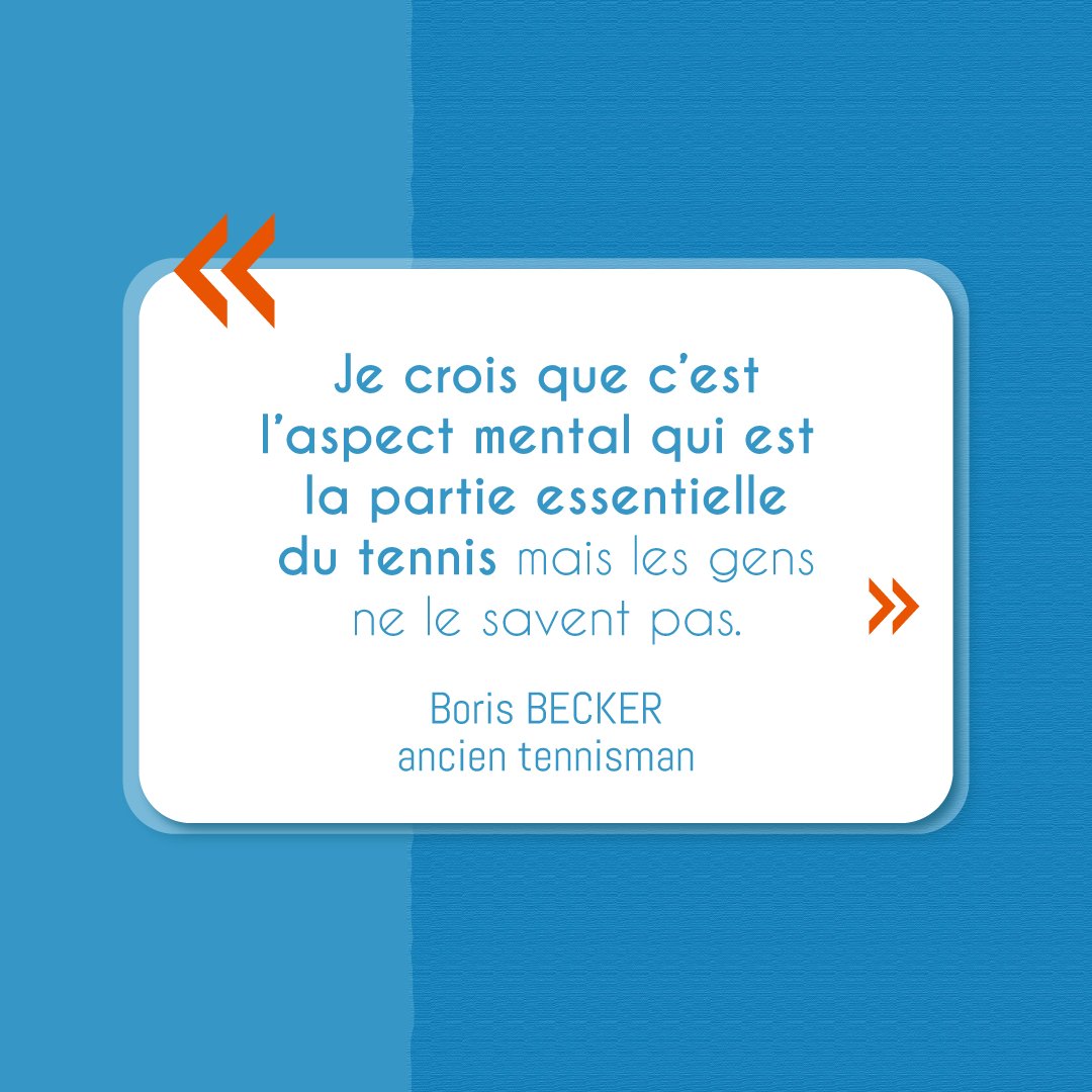 NOVE Perform tweet media