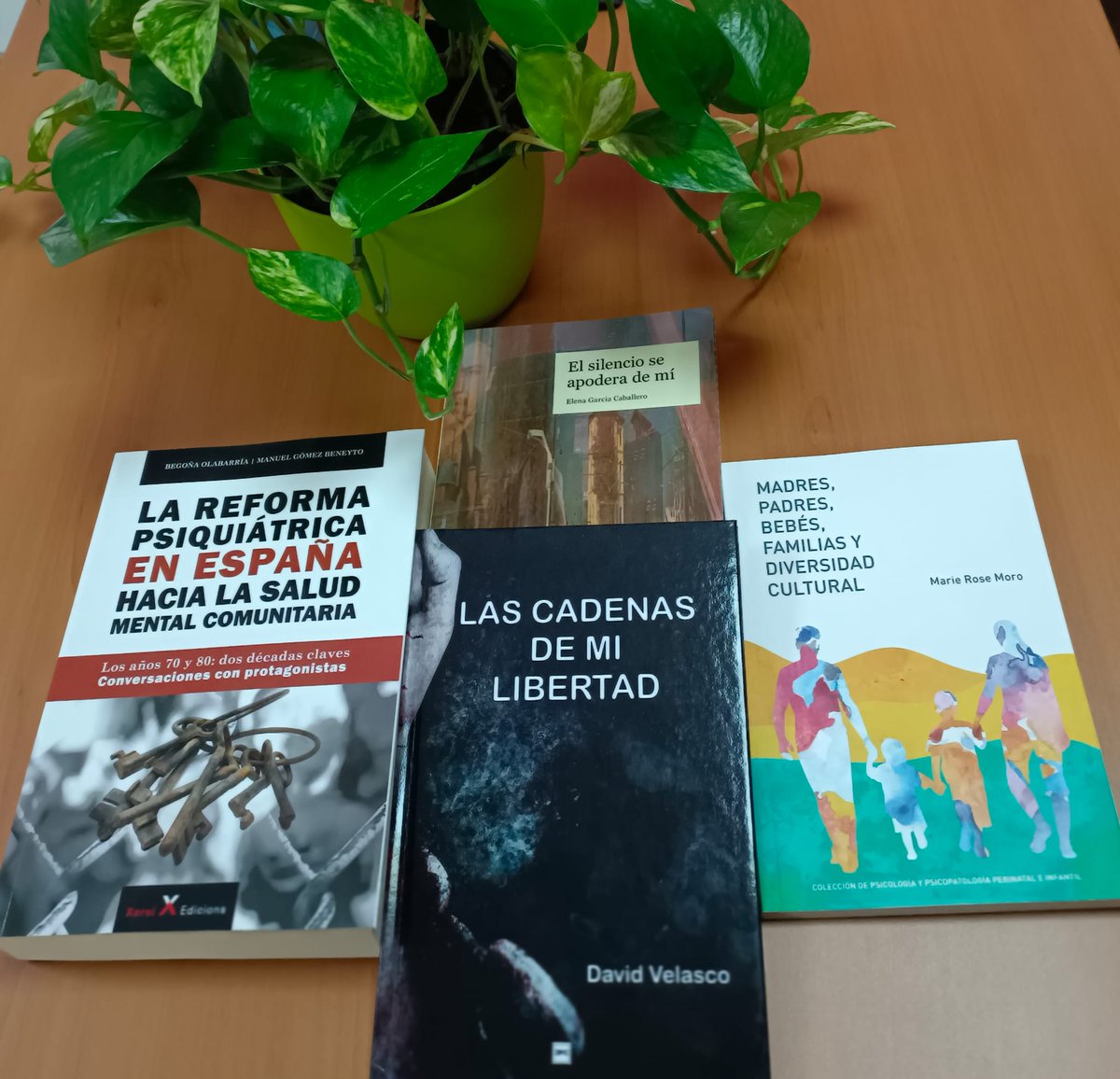 consaludmental's tweet photo. 📕📚📖 Ayer publicamos la primera #BiblioSaludMental del año.

📧 Si vives en #España puedes solicitar #gratis cualquiera de estos libros en préstamo escribiendo a documentacion@consaludmental.org.

🧐 Puedes leer más aquí 👉🏻 https://t.co/WmEGIP0LWO https://t.co/fXhnQG8i8W