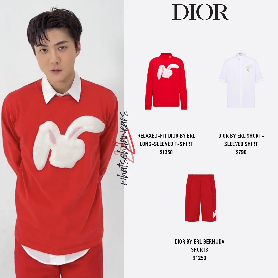 Fall 2023 Collection Man DIOR GB #30 Fall 2023 Collection Man DIOR GB