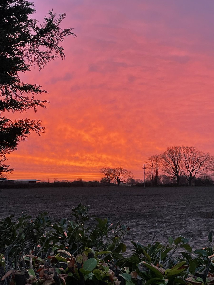 lizzybethreeder's tweet photo. Beautiful sunrise in Norfolk this morning #nofilter #sunrise @ChrisPage90 @bbcweather @itvweather https://t.co/rcMxsPDTJc
