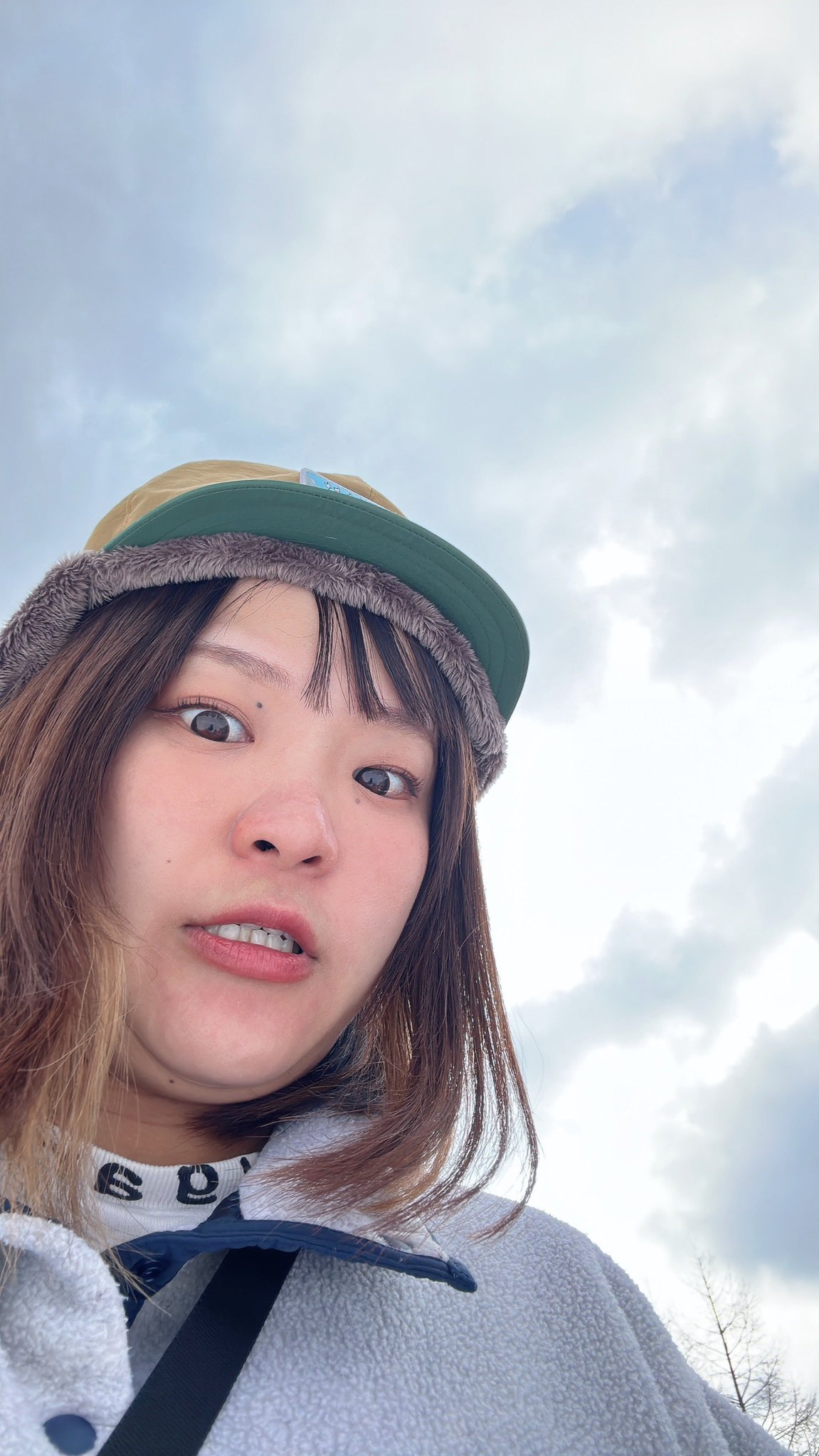 しの on Twitter: "流石に太り始めたので低カロリー食始めました しかし糖分を欲する私がいます https://t.co