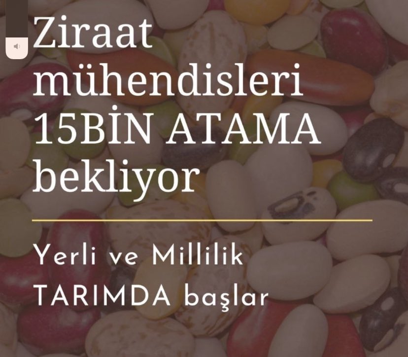 Toprağın ve donanımlı mühendislerimizin değerini bilmeliyiz.
<a href="/TCTarim/">T.C. Tarım ve Orman Bakanlığı</a> 
<a href="/VahitKirisci/">Prof.Dr.Vahit Kirişci</a> 
#OnOcak15BinZiraat