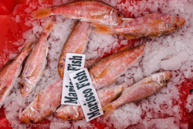 NewlynFishing's tweet photo. There’s So So Much Fantastic 🇬🇧 Harvested #Seafood Available just now! An Abundance of it from our #WestCountry Mix Variety Fleet here in #Newlyn who Continue to Gratefully #Sustainably harvest #Quality Fish/Shellfish for #YourTable …@Cornishfpo #LocalFishmonger #EatMoreFish https://t.co/MsVIhCSzya