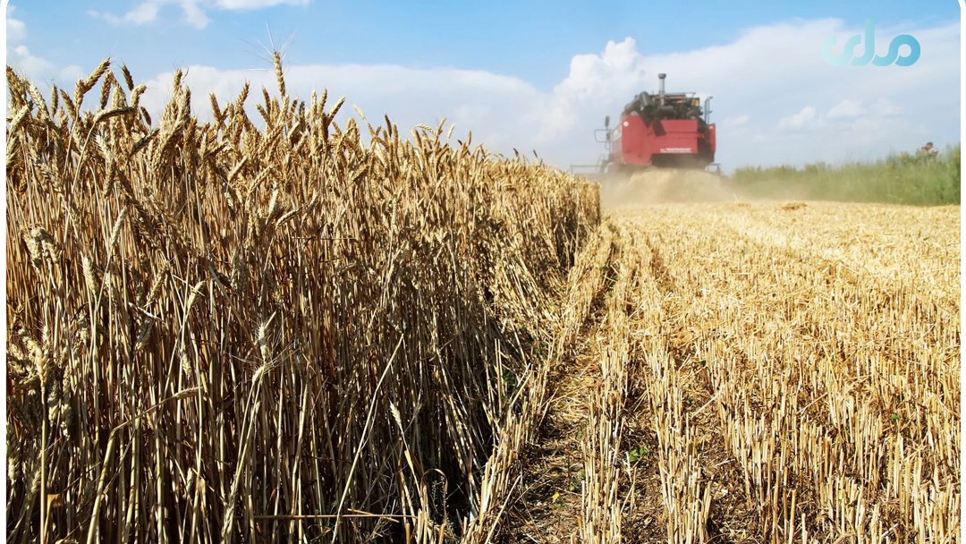 pashtortanews's tweet photo. According to article of #FederalCenter for Development of Export of Agricultural and Industrial Products, #Georgia has been recognized as the largest importer of #Russian flour based on results of 2022, during one year, the purchase of this product increased 4.7 times. https://t.co/ZIn3FHiaAa