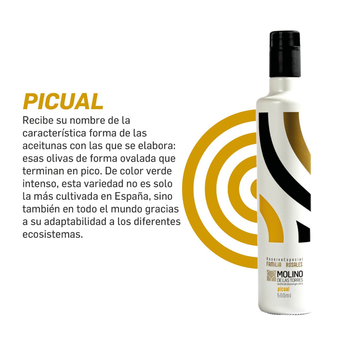 Os presentamos las variedades de las que disponemos, todas perfectas para el regalo más exquisito.
tienda.molinotorres.es

molinotorres@molinotorres.es
953 595 182

#molinodelastorres #oliveoil #molino #almazara #tiendaonline #evoo #AOVE #aoves #aceitedeoliva
