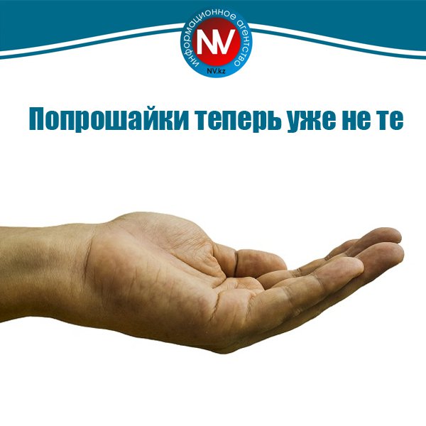 Новый вестник tweet media