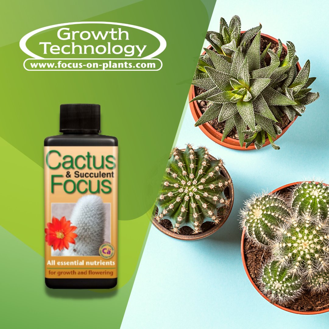 Focus On Plants tweet media