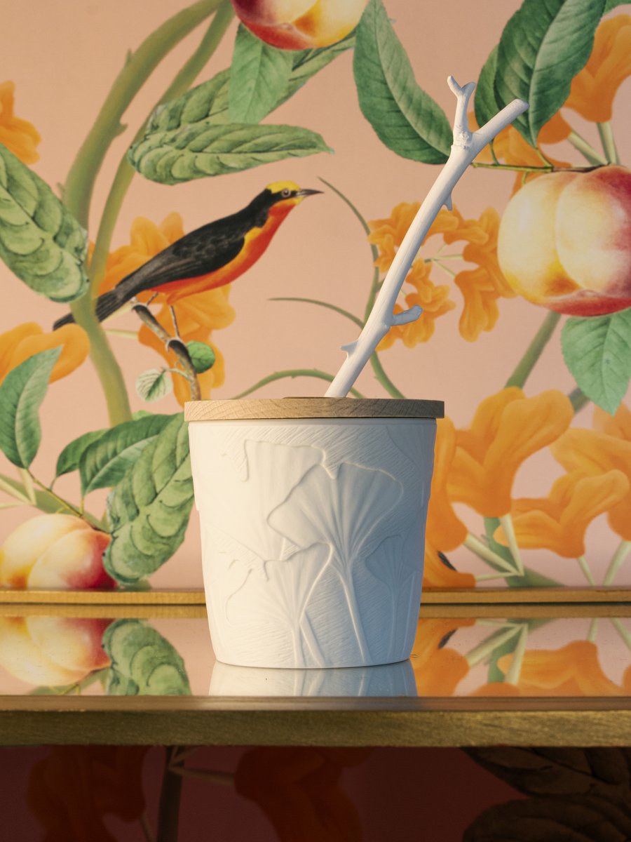 JardinRetrouve's tweet photo. "I like Osmanthus because aside from its fruity element it has a very sophisticated almost leathery facet. It reminds me of my childhood in Provence." π
Perfumer Maxence Moutte
https://t.co/RcEHERZ1e9
#ecofriendly #sustainable #reuse #scentedstem #lejardinretrouve #madeinFrance https://t.co/SxUOkRqimW