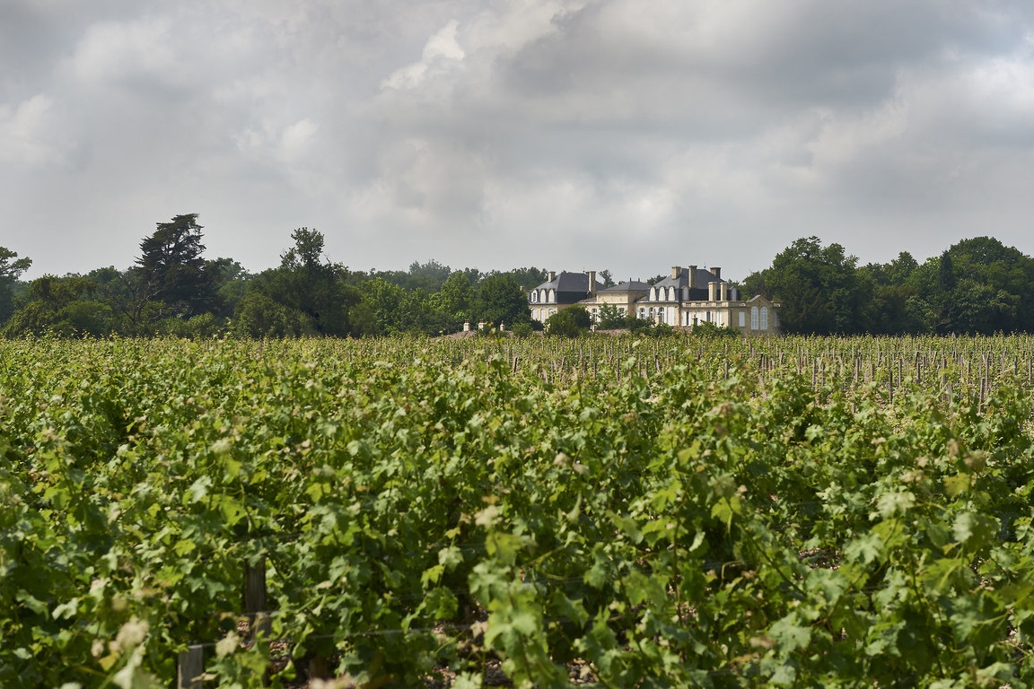 Ch. Léoville Barton remains one of the most classically styled estates in the Médoc. Its typically austere character worked wonderfully with the flamboyant 2000 vintage, adding rich fruit to its structured frame.  

frw.co.uk/wine/leoville-…