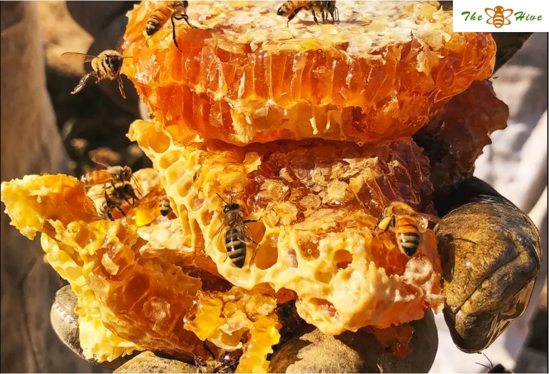 🍯🍯🐝🐝🌱🌱
Grand sale continues until January 31st!Shop your favorite honey 🍯 and modern Beekeeping Equipment.We also provide field support services.Reach us on 0706349748