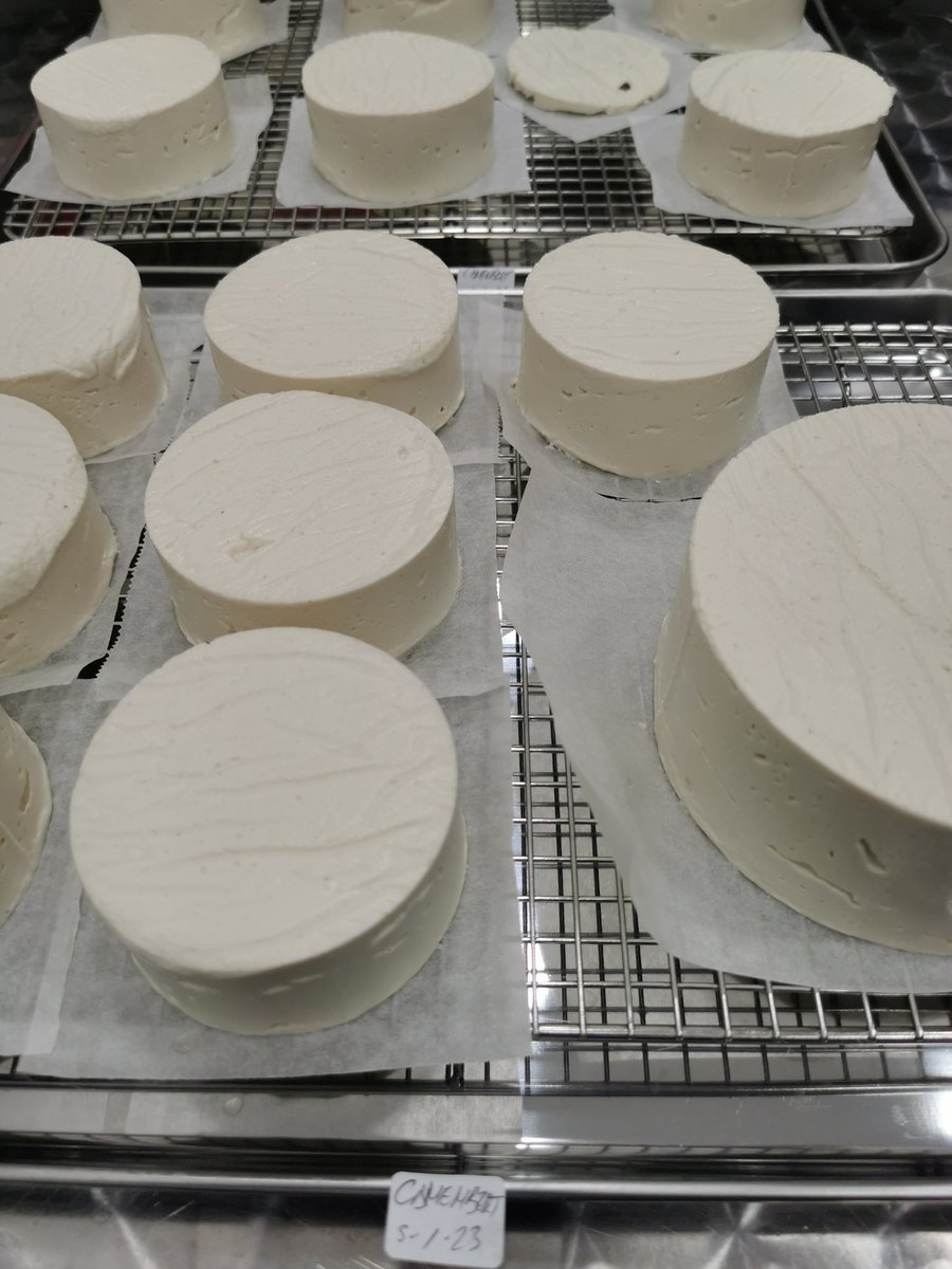 TerraveganaCat's tweet photo. Comencem l'any amb força!! 💪🌱🧀🌱 Amb un #fErmatge tipus Camembert... 😋😋 
#GoVegan #siguesvegà #plantbased #salvemelplaneta #estimaelsanimals #noplastic #ElPlaerDeMenjarSenseMaltractamentAnimal #formatgesVegans #fErmatges #fermentatsVegans #VeganismeOBarbàrie https://t.co/vZr2Um0Tt0