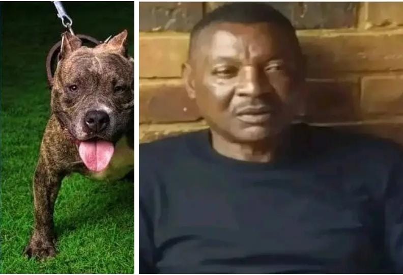 HSENations's tweet photo. #safetyfirst
Ex-Zambian soccer football star, Philemon Mulala was mauled to death by his dogs - 2 Staffie-pit bull cross dogs & 1 unknown breed in South Africa.
#doglovers #safetyiskey #workersafety #safetyandhealth #workplacesafety #Zambia #SouthAfricanMorning #FootballGuy https://t.co/zopwtKfV2w