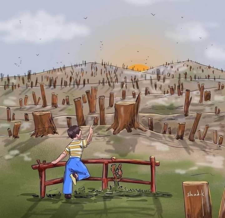 EmaanzT's tweet photo. What have we done to the planet
Its a high time that we #Actforplanet
Nature bases solutions are all we need
#planttrees and save the #Planet
#ClimateAction https://t.co/B1ed8EIyoH