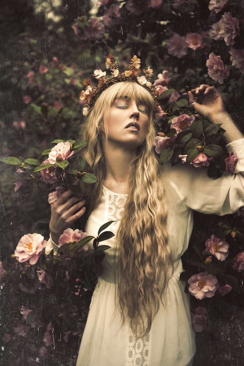 Ana Isabel Hewlett tweet media