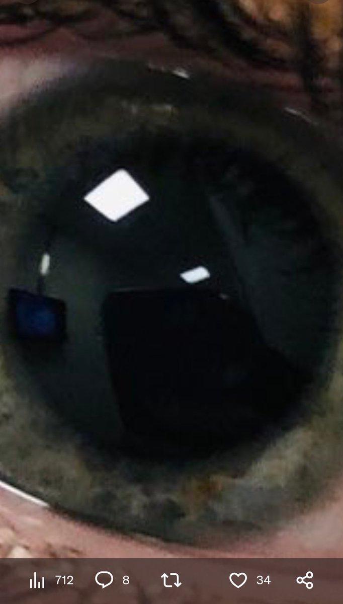 Giuseppe Sfuncia tweet media