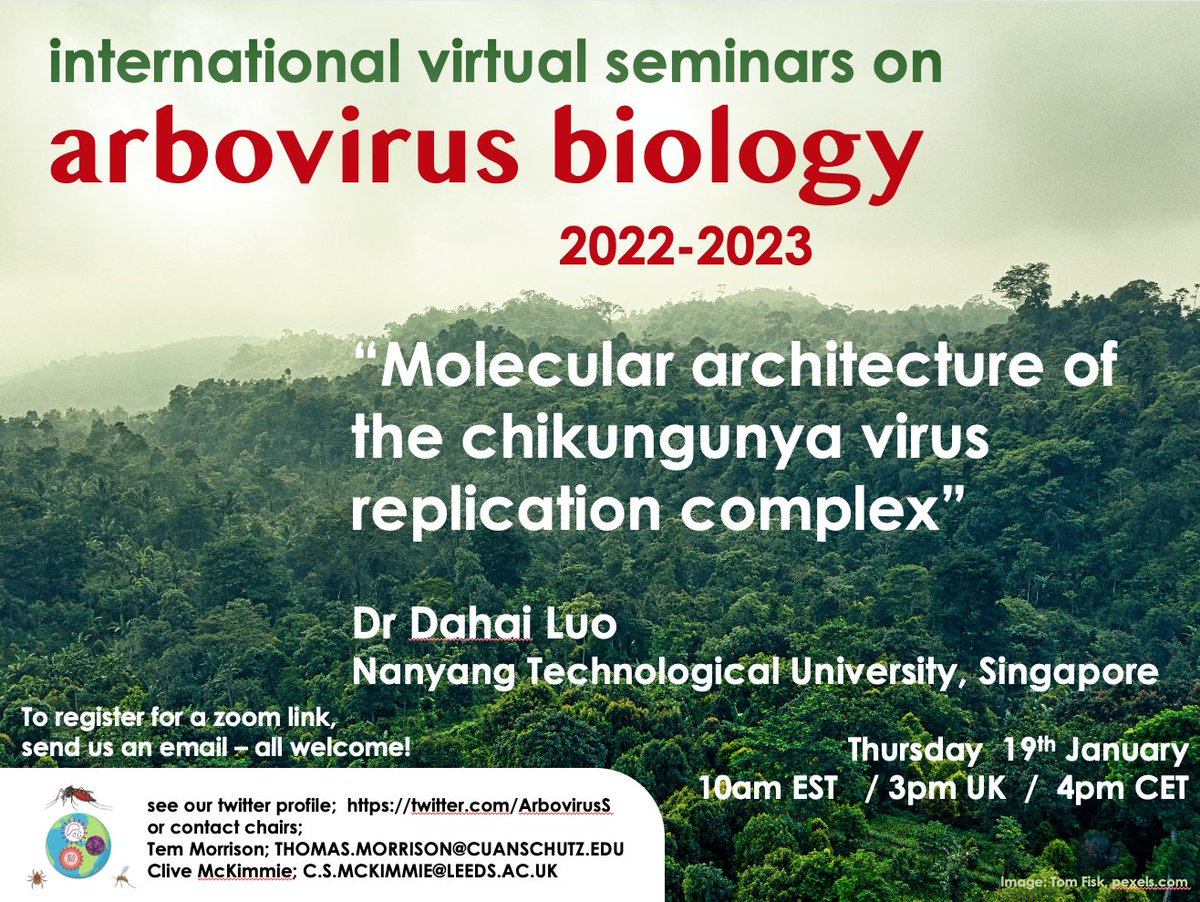 ArbovirusS's tweet photo. First seminar of the year is starting with a 🎆 with @luodahai who's group has defined the #structural_biology of the #Alphavirus (CHIKV) replication complex in a truly inspiring detail. It is a sight to behold. 

All welcome! Note earlier time than usual. Please help with a RT. https://t.co/FgihMyV4bC