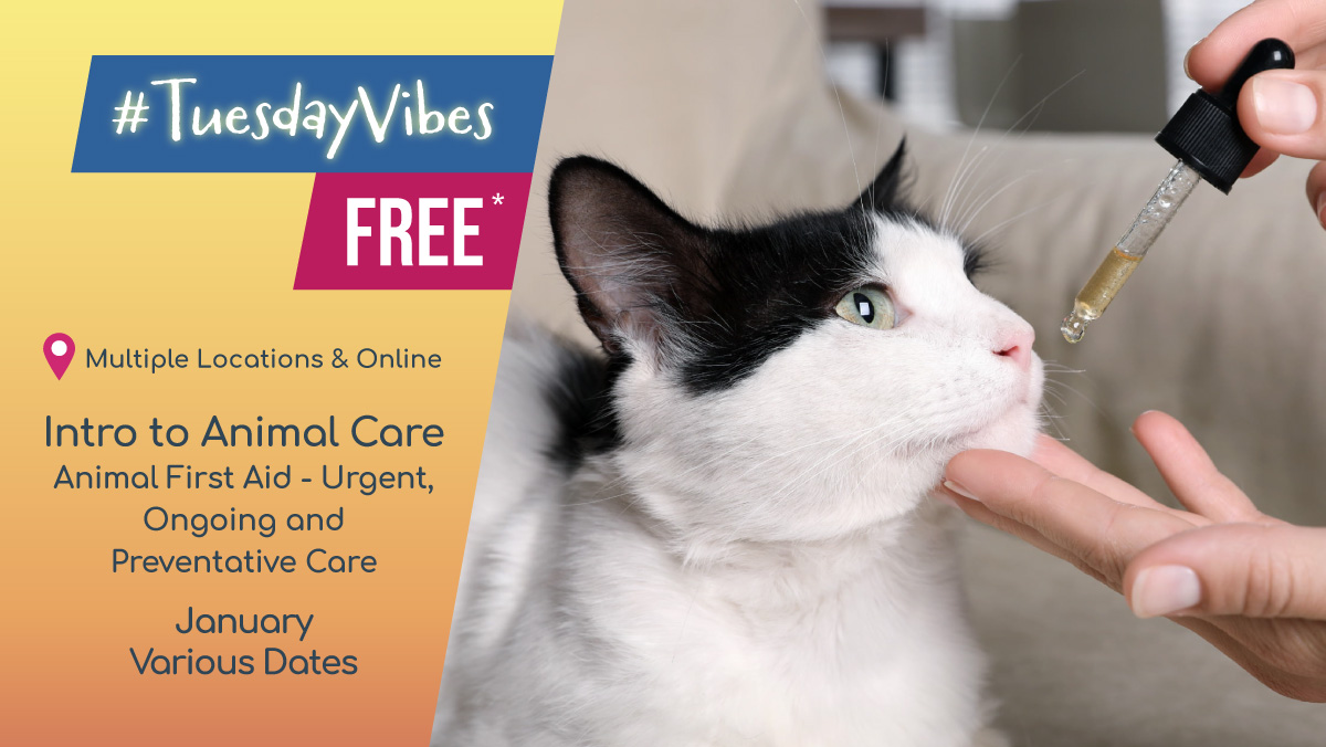 Do you love animals? Animals need us to make sure they’re cared for. Our free* intro workshop will get you started. We have other workshops too, plus a traineeship &amp; apprenticeship programme if you want to make #AnimalCare a career! Find out more here... tinyurl.com/AnimalCare1stA…