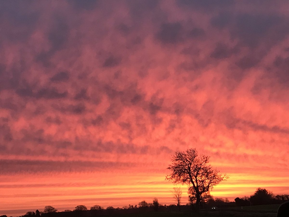 susiehammondart's tweet photo. First thing this morning- it’s now thrashing down rain and grey! @susiehammondart #suffolksunrise #suffolkskies #suffolkartist #artforsale #suffolkillustrator #sunrise #suffolkcoast #tuesdayvibe #artineastanglia https://t.co/1ASpQ9xLPW
