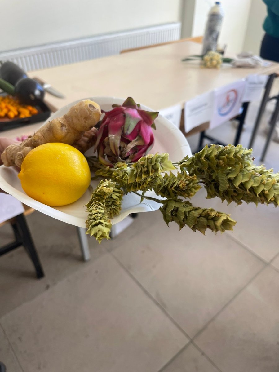 Gazipaşa Cumhuriyet Ortaokulunun yürütmekte olduğu"7 BÖLGE 7 OKUL YERLİ MALI ETKİNLİĞİ" kapsamında eski ilçe Kaymakamımız Orhan ALTUN'un göndermiş olduğu tropikal meyveler çocuklarımıza tanıtılıp ikram edildi. Kaymakamımız <a href="/orhnltn/">orhan altun</a> öğrencilerimiz adına teşekkür ederiz <a href="/bingolmem/">Bingöl MEM</a>