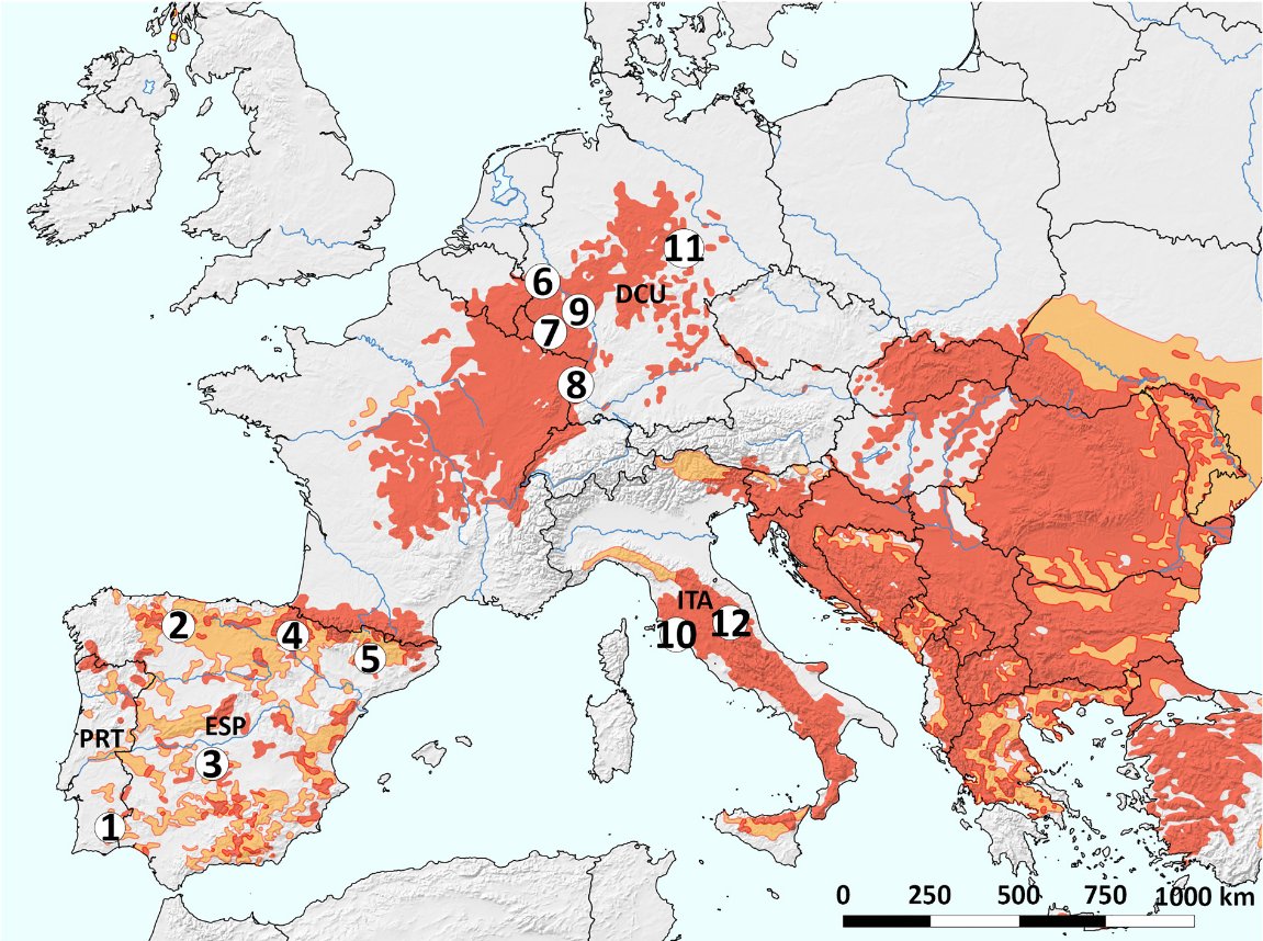 New paper from our #EUROWILDCAT consortium! 🐱

European wildcat (Felis silvestris) living in agri landscapes must increase their home-range size to reach resources somewhere else🐾

sciencedirect.com/science/articl…