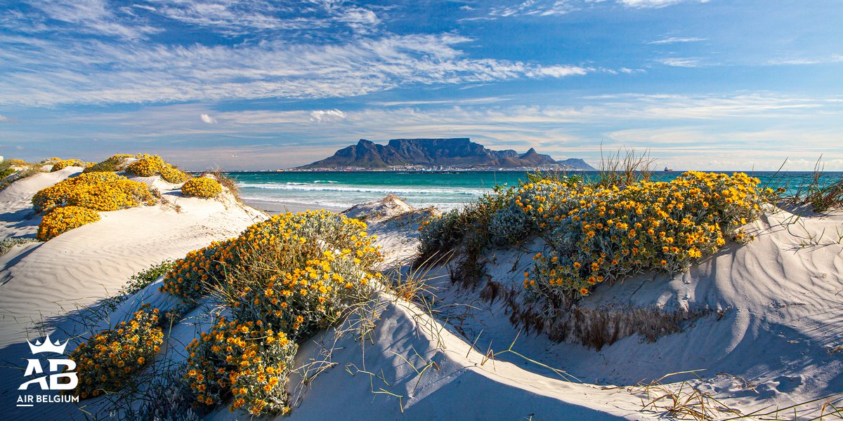 South Africa is simply amazing ☺️ Especially on Bloubergstrand 📍
➡️ Fly to Cape Town direct from Brussels Airport 🛫

#AirBelgium #FlyBelgianClass #SouthAfrica #Bloubergstrand