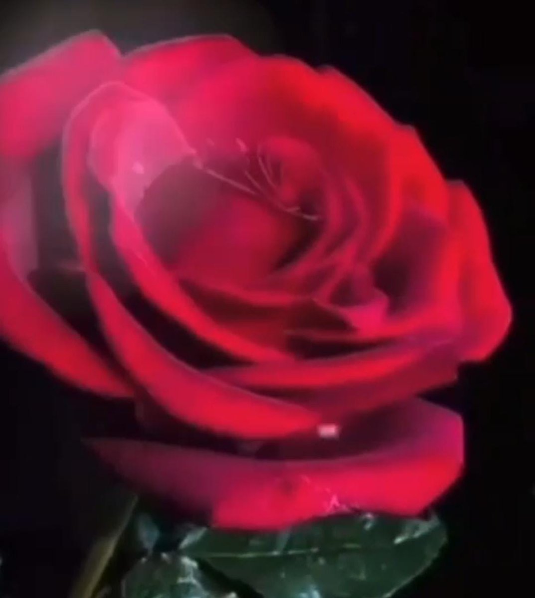 " Sevenler en sonunda bir yerlerde buluşmazlar. 
Onlar en başından beri birbirlerinin içindedir.."

Mevlâna Celâleddin Rumi Hazretleri