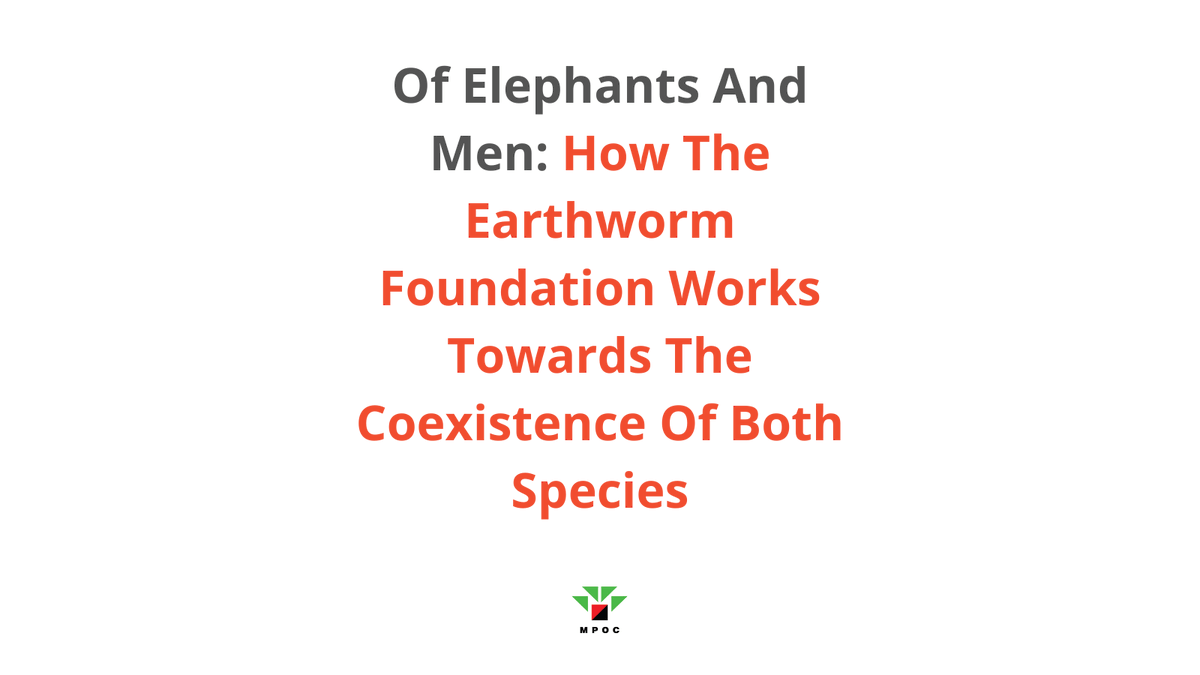 Read here: mpoc.org.my/of-elephants-a…