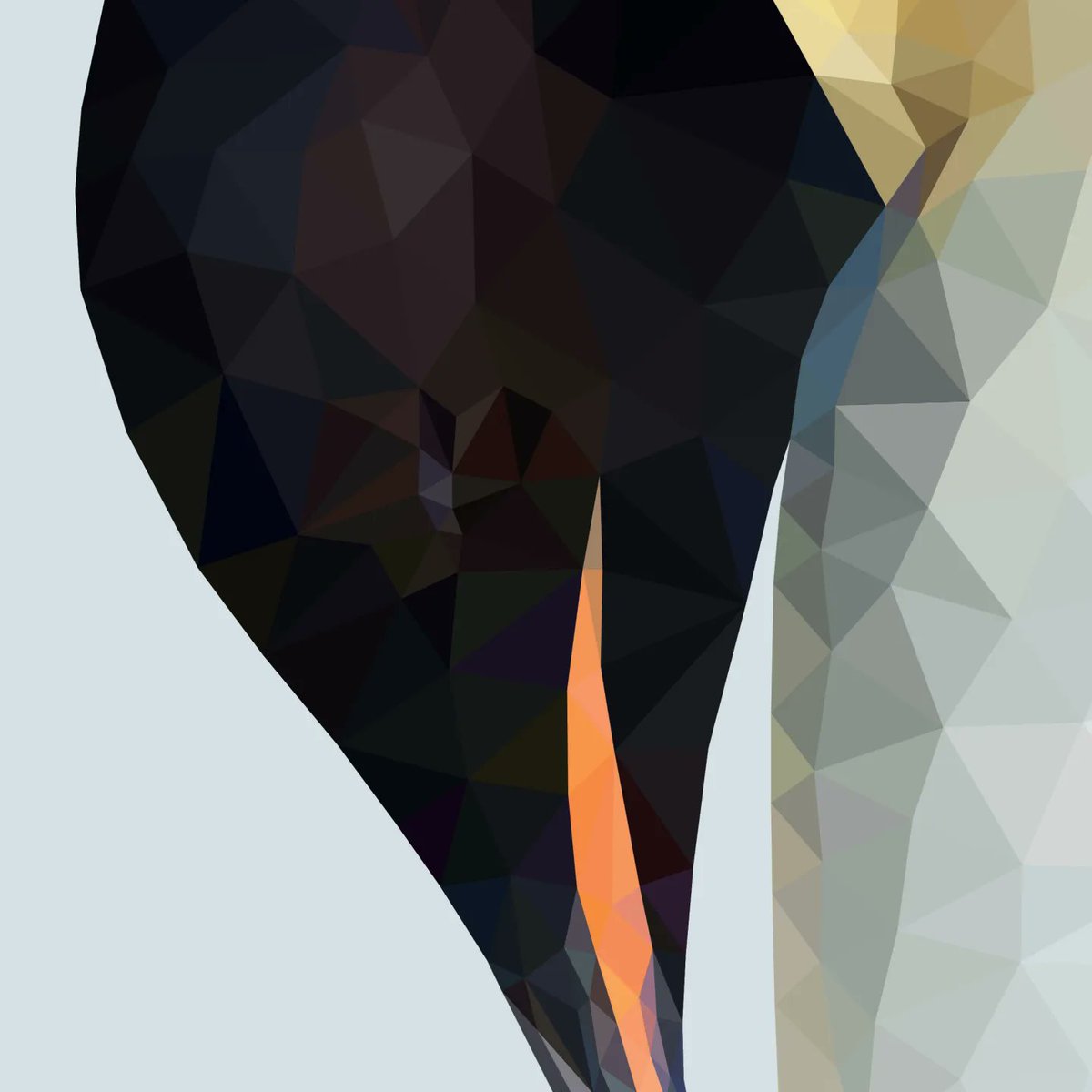 Another item from my new Geometric Animal Collection. The Emperor Penguin🐧
You can buy this print on my Etsy page:  etsy.com/uk/shop/TomGeo…

#art #artwork #digitalart #geometric #geometricart  #animalart #AnimalLovers #penguin #penguinlove  #penguinart #etsyshop #etsyseller