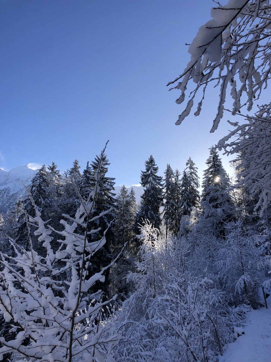 Fresh white fluffy snow at 1000m @Saint_Gervais makes us very very #happy. 

Who’s coming #skiing with us???!

@Elan_Skis @norrona @RoxaBoots @PlanksClothing #megeve #chamonix #meribel #flaine #lescarroz #samoens #lescontamines #stgervais #morillon