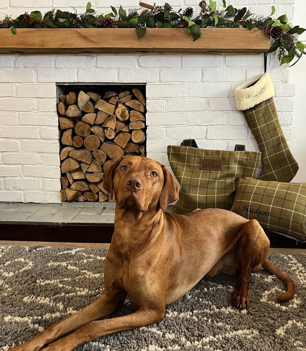 JANUARY SALE - 50% OFF all Stockings, Pillows &amp; Tote Bags! Stylish accessories for less 🤍 #stocking #totebag #pillow #dogbeds #vizsla #treatyourself #dogsoftwitter