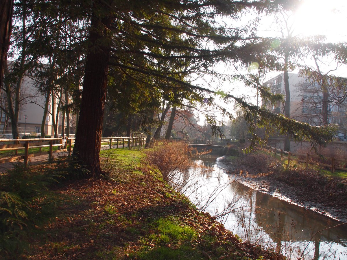 🌊 𝗣𝗼𝗹𝗹𝘂𝘁𝗶𝗼𝗻 𝗱𝗲 𝗹'𝗬𝘃𝗲𝘁𝘁𝗲 | #Longjumeau

💧Le <a href="/siahvy/">SIAHVY - Syndicat de l'Yvette</a> nous informe qu'une pollution aux hydrocarbures est en cours, à <a href="/Chilly_Mazarin/">Ville de Chilly-Mazarin</a>.
🚧 Des barrages anti-pollution sont installés, sur l’Yvette/Orge.

👃Des nuisances olfactives peuvent apparaître.