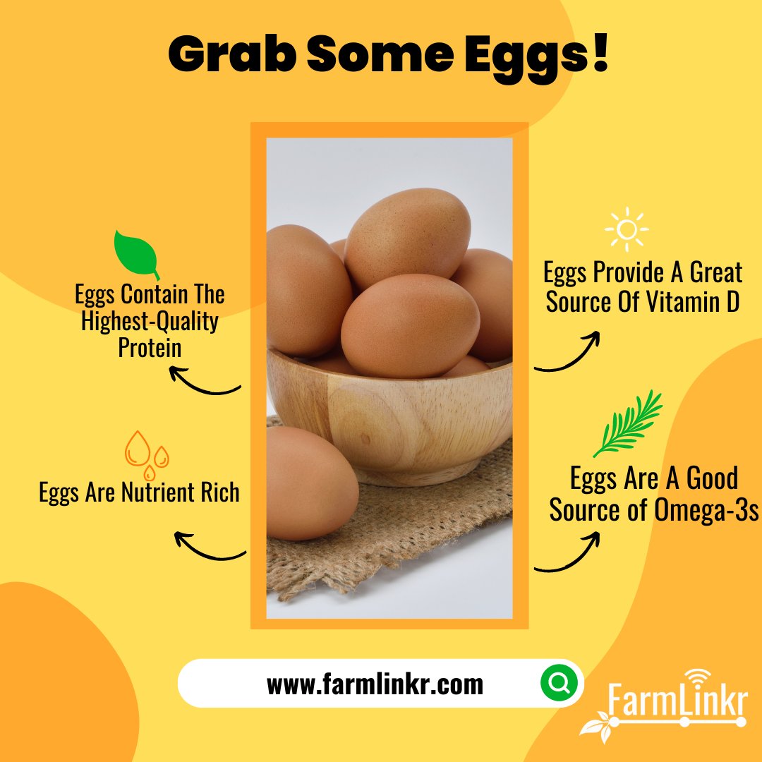 FarmLinkr's tweet photo. Need eggs for your home or business? FarmLinkr has a flat or Carton waiting for you! 
.
.
.
Shop for eggs now at https://t.co/uZo3pYrZYb where quality is assured and you get competitive prices too! 
.
.
.
#FarmLinkr #linkingyou #tolocalfarmers https://t.co/IgBarpy25V