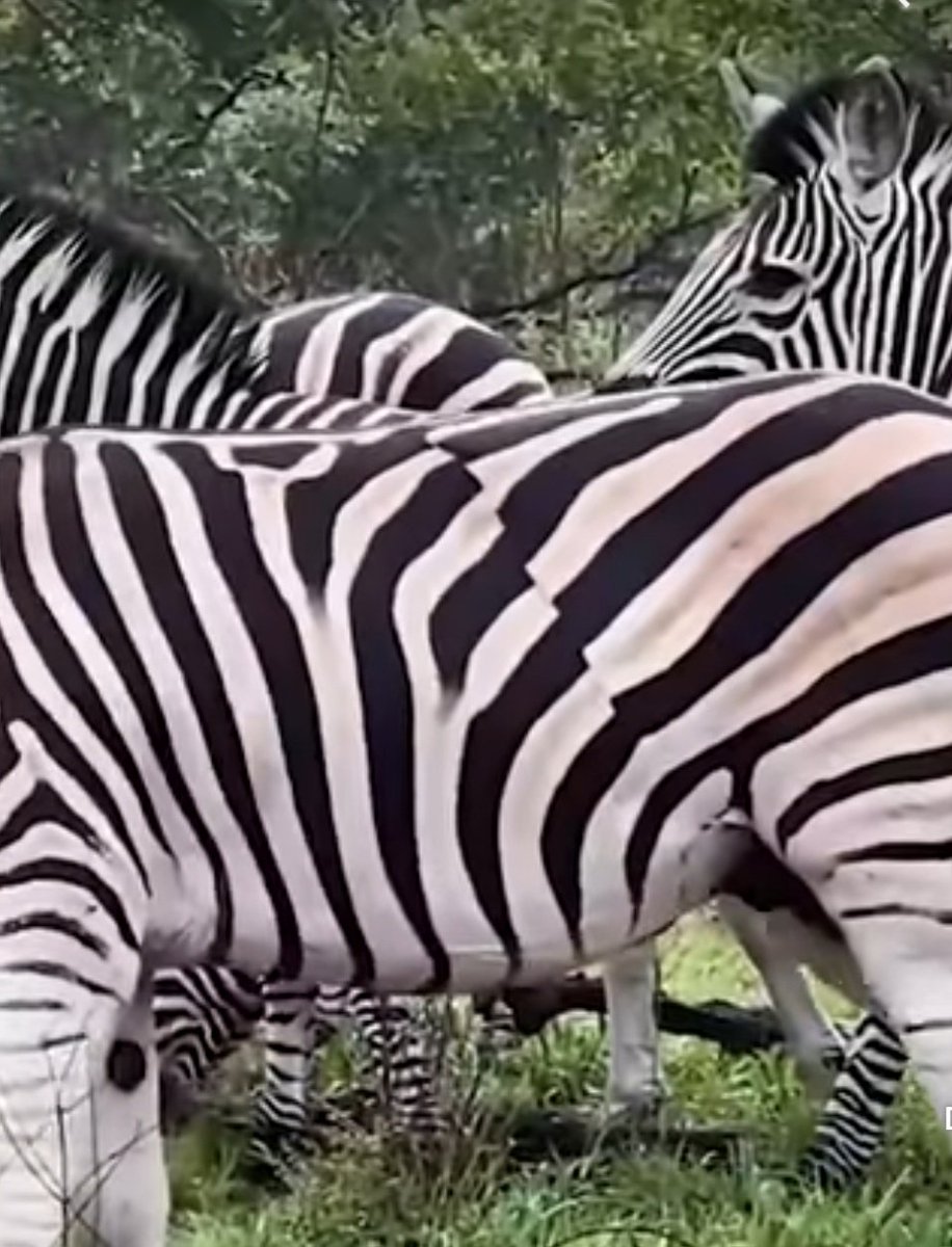 Top𝔾 📚 TGCU tweet media