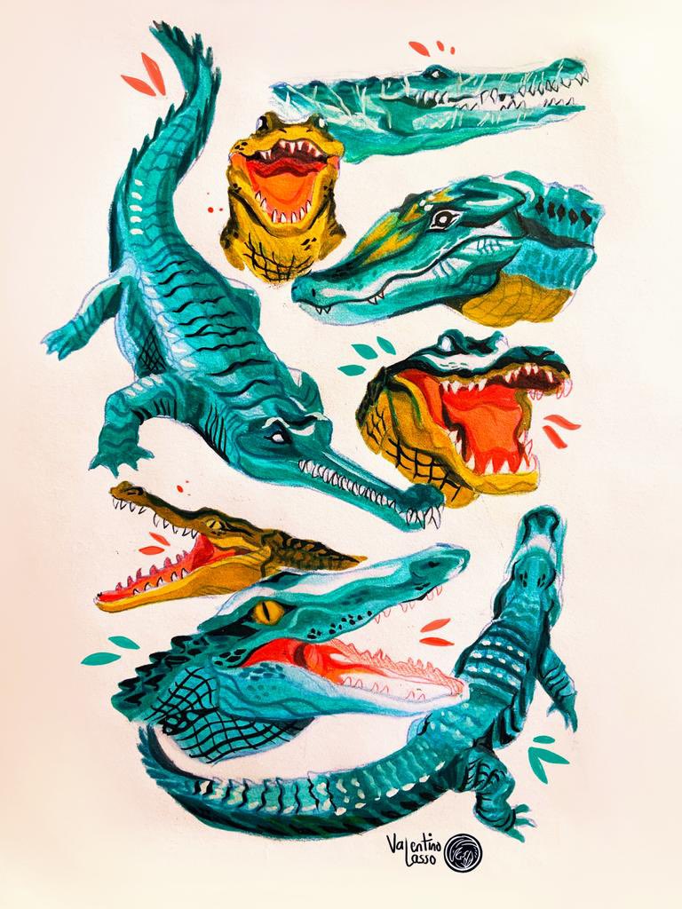 valentino_lasso's tweet photo. Hola #PortfolioDay !! I'm Valentino, a mexican artist that loves to create animals and characters connected with nature, life and colors🌿✨🌺 https://t.co/WQxFt6ArP2